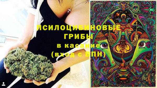 прущий лед Алексин