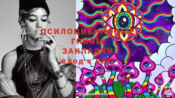 прущий лед Алексин