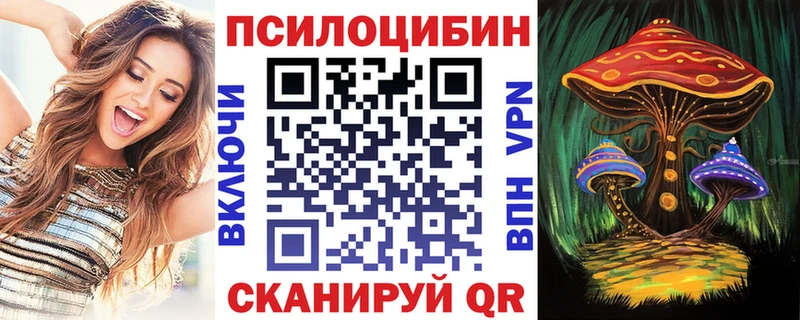 Псилоцибиновые грибы Psilocybe  Собинка 